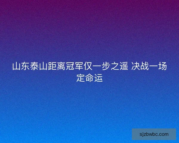 山东泰山距离冠军仅一步之遥 决战一场定命运